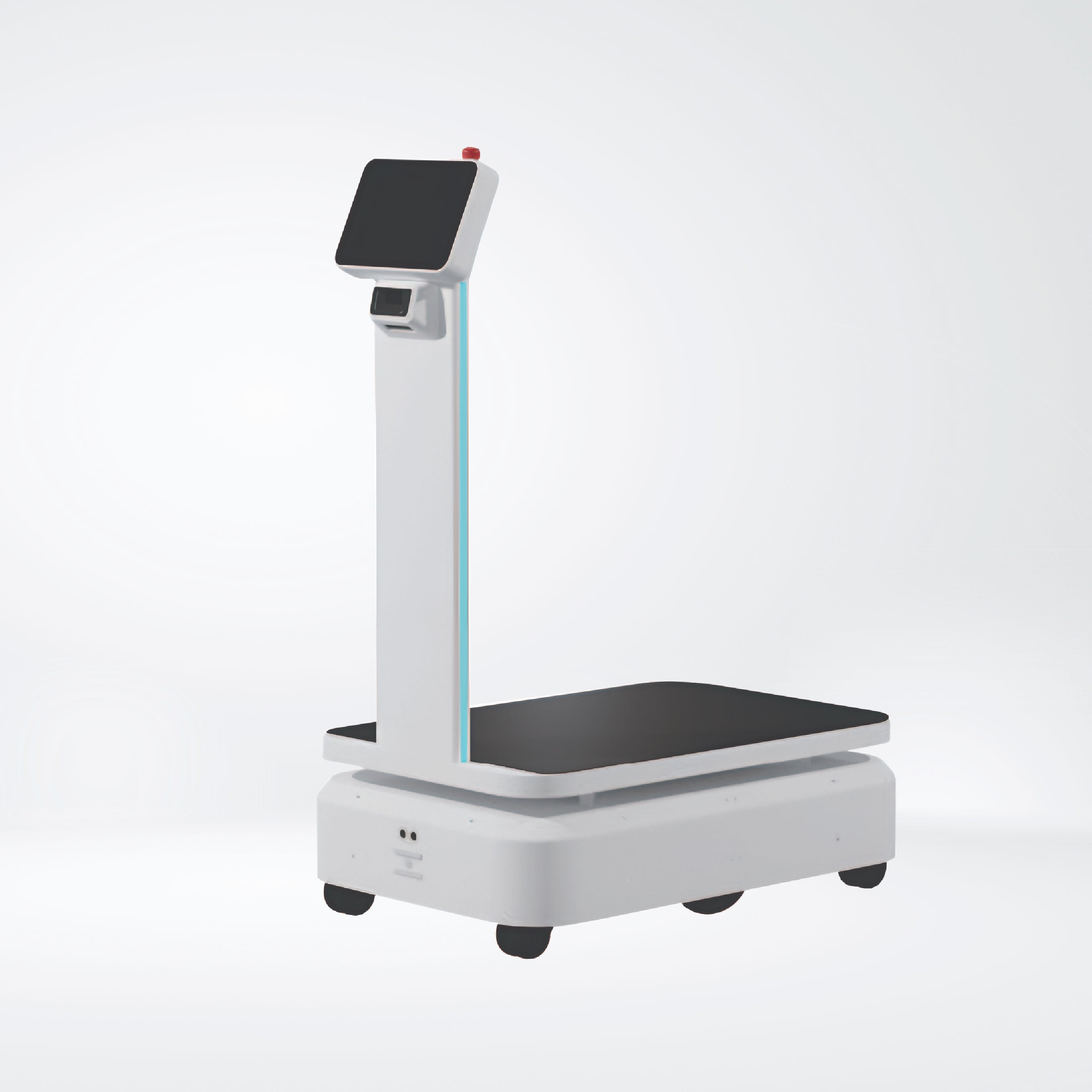 L-300E Lifting Robots