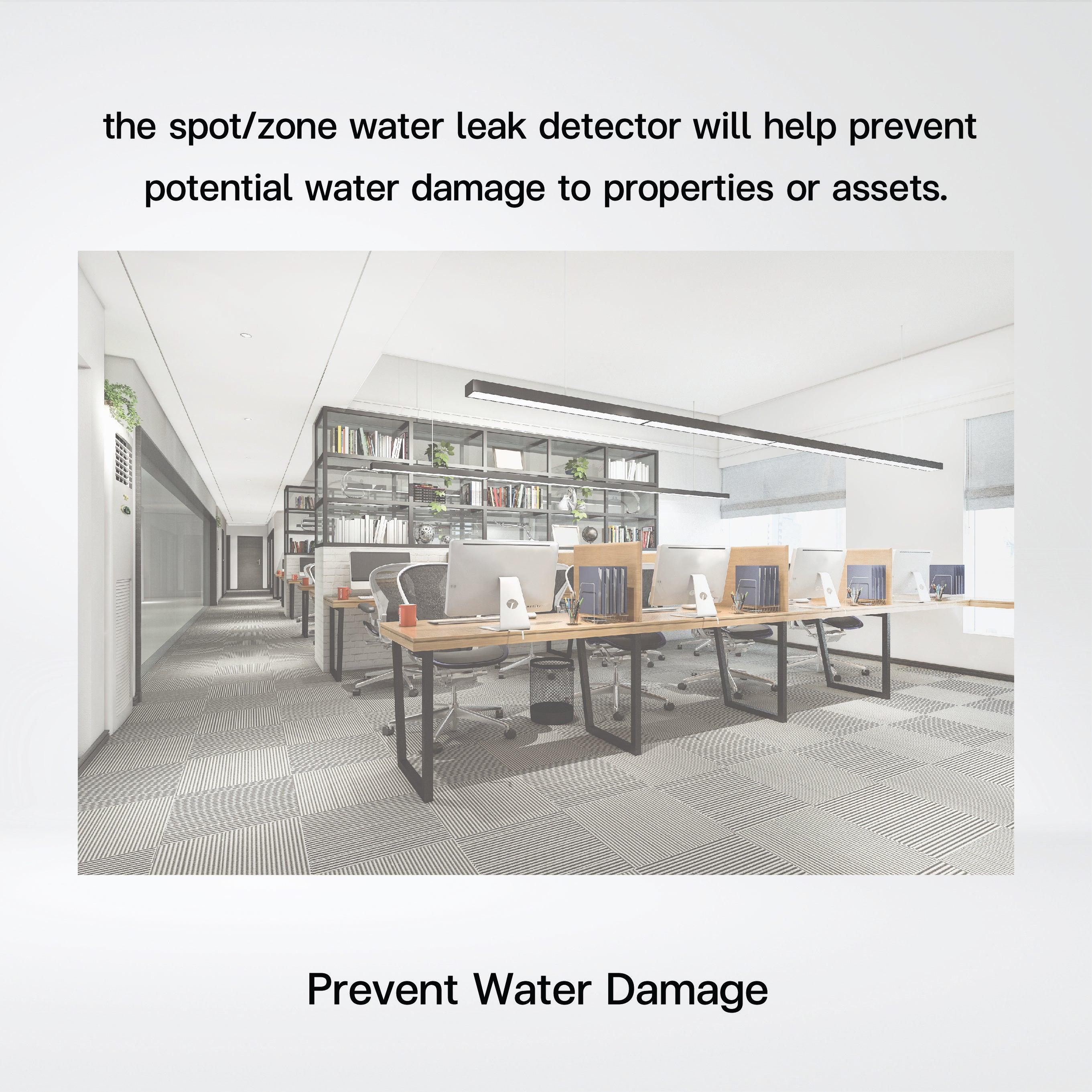 EM300-ZLD Zone Water Leak Detector - Riverplus