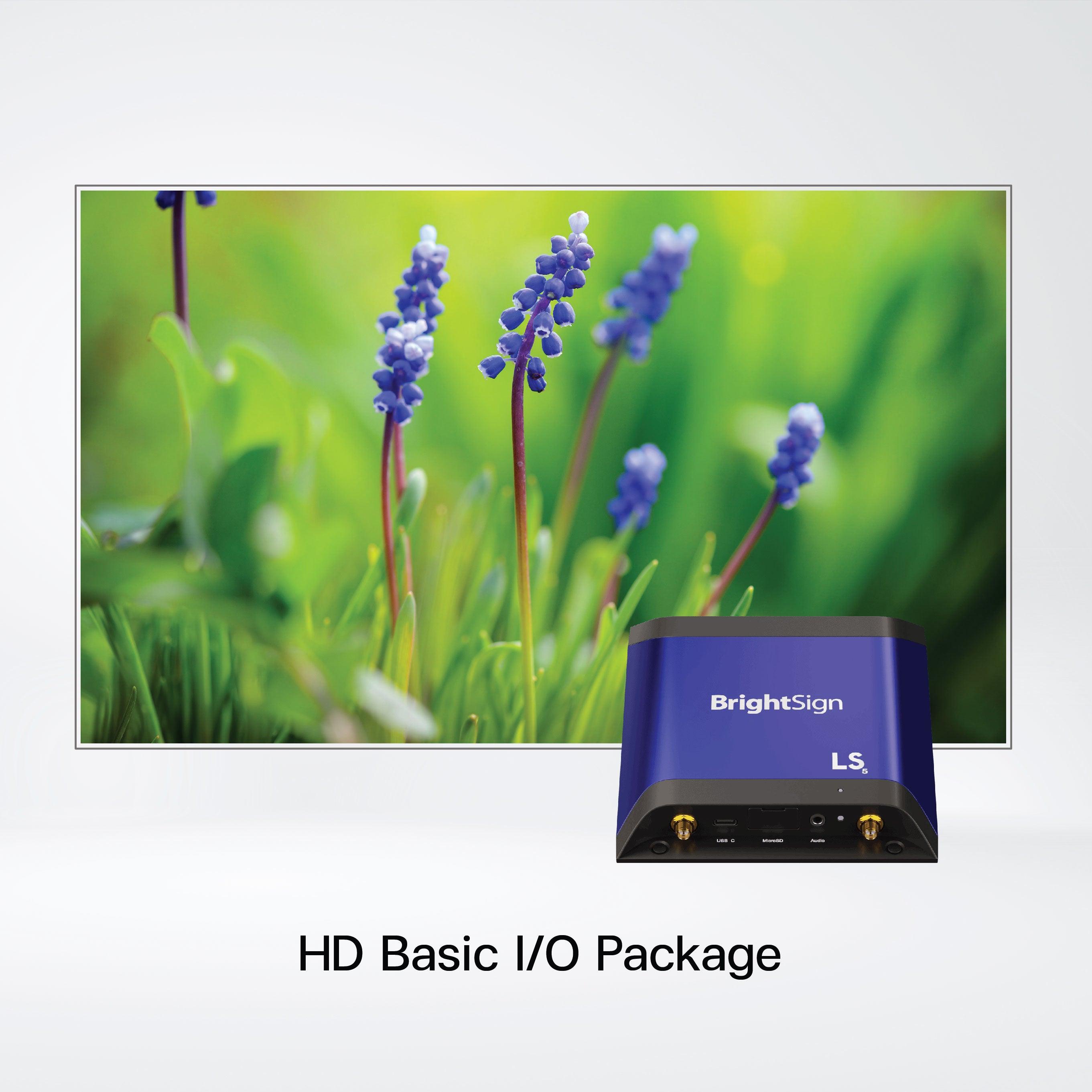 LS445 Low-Cost 4K Digital Signage Player + 64GB Micro SD - Riverplus