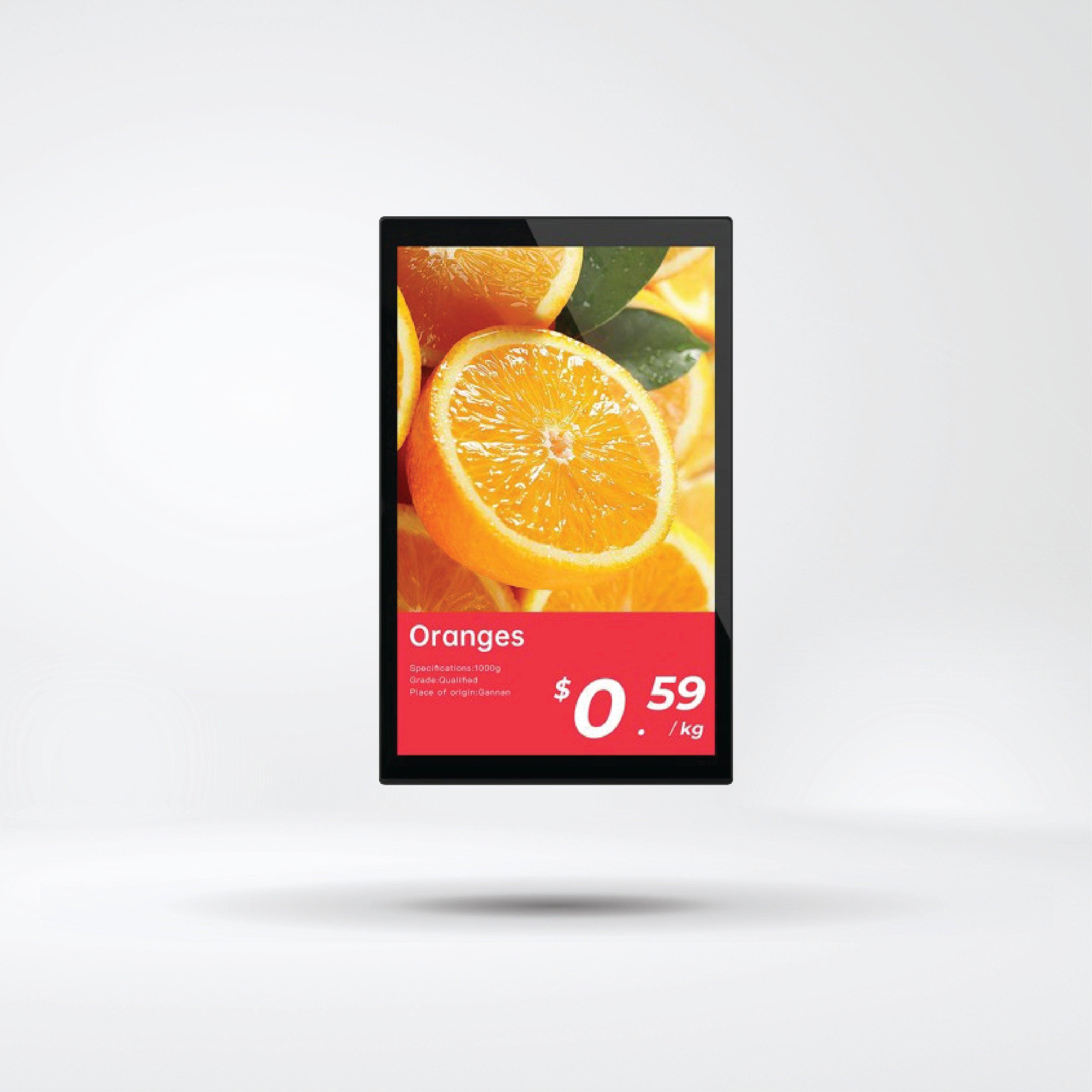 Lumina Aqua-10.1''classic size Full color IPS LCD Higher resolution, IP65 - Riverplus