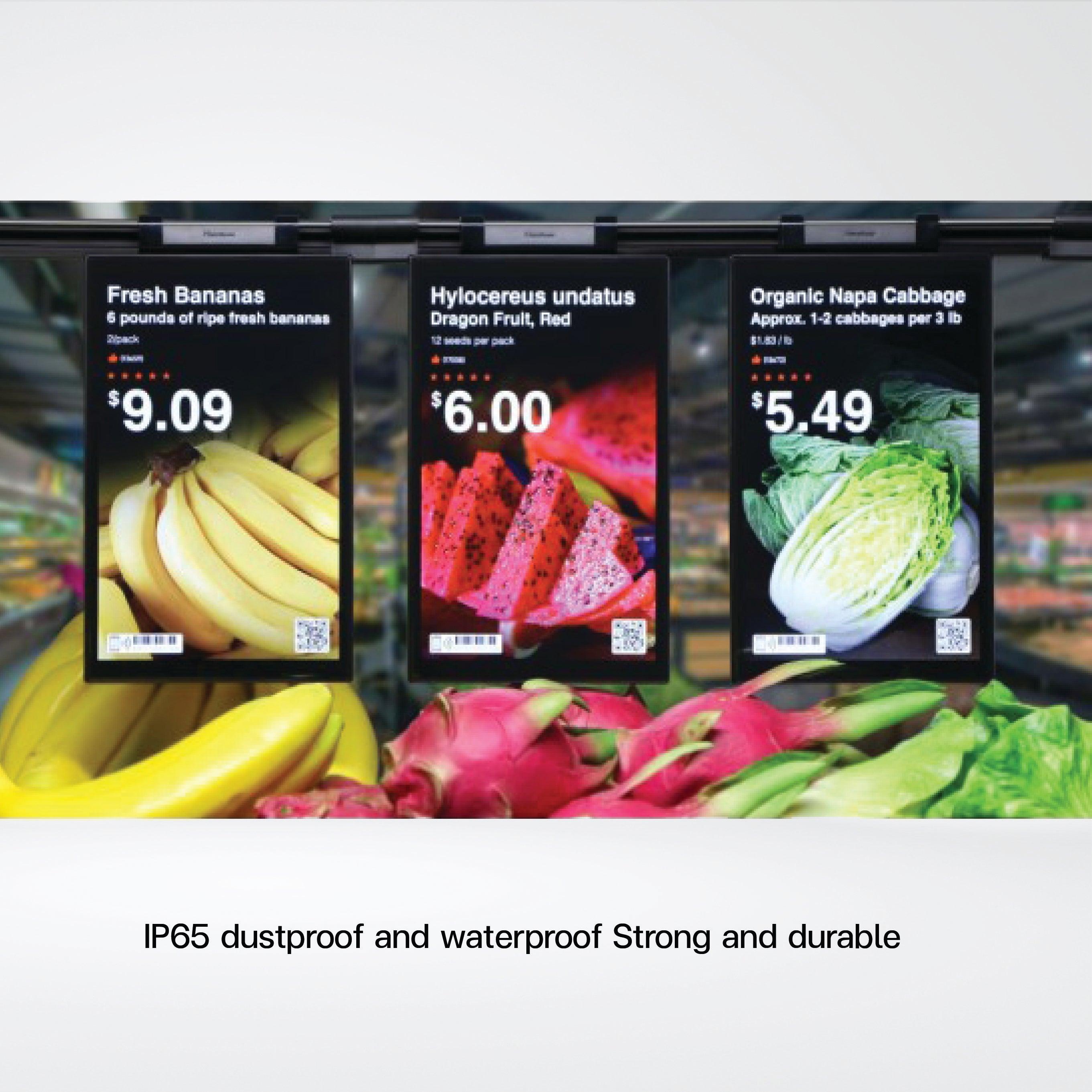 Lumina Aqua-10.1''classic size Full color IPS LCD Higher resolution, IP65 - Riverplus