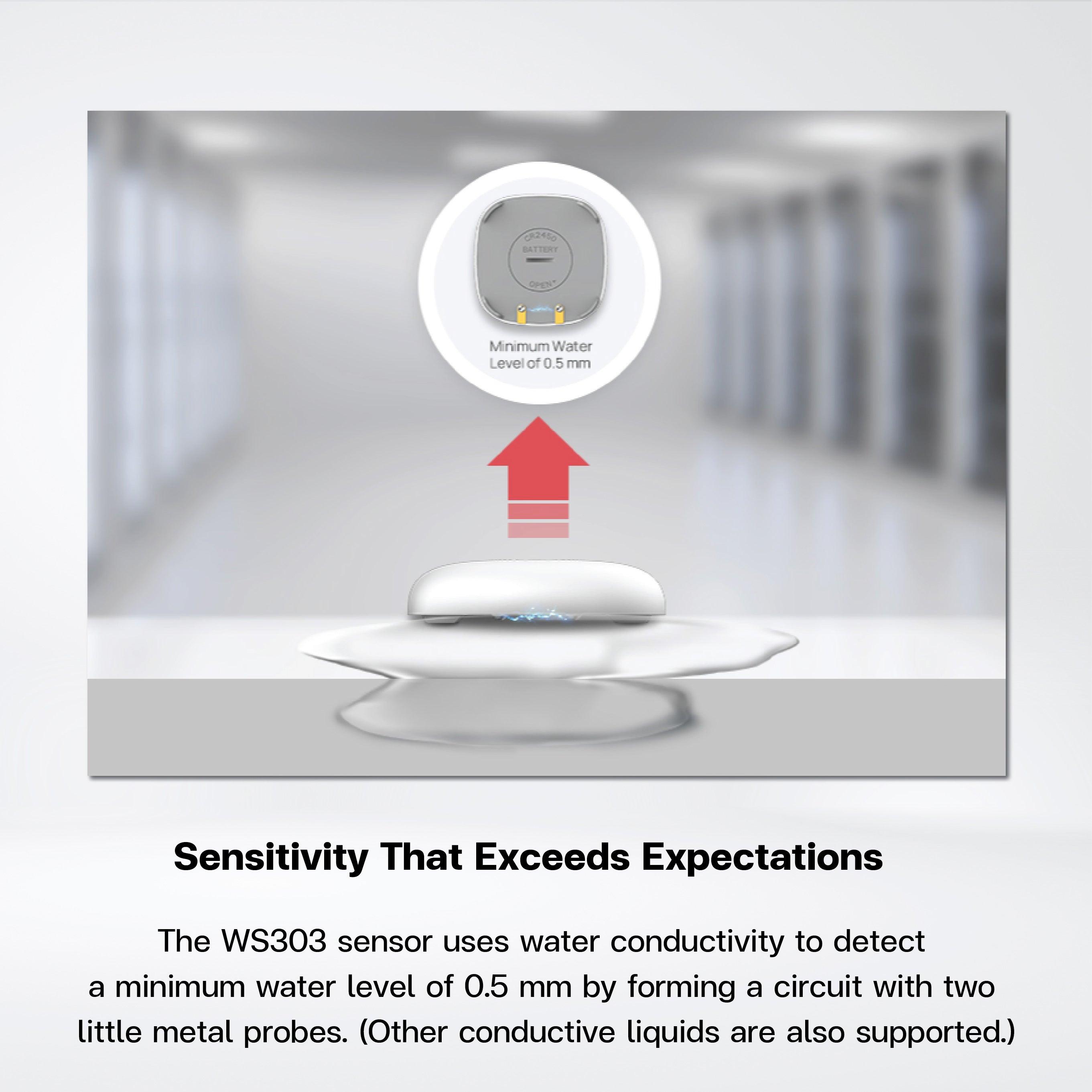 WS303 Mini Leak Detection Sensor - Riverplus