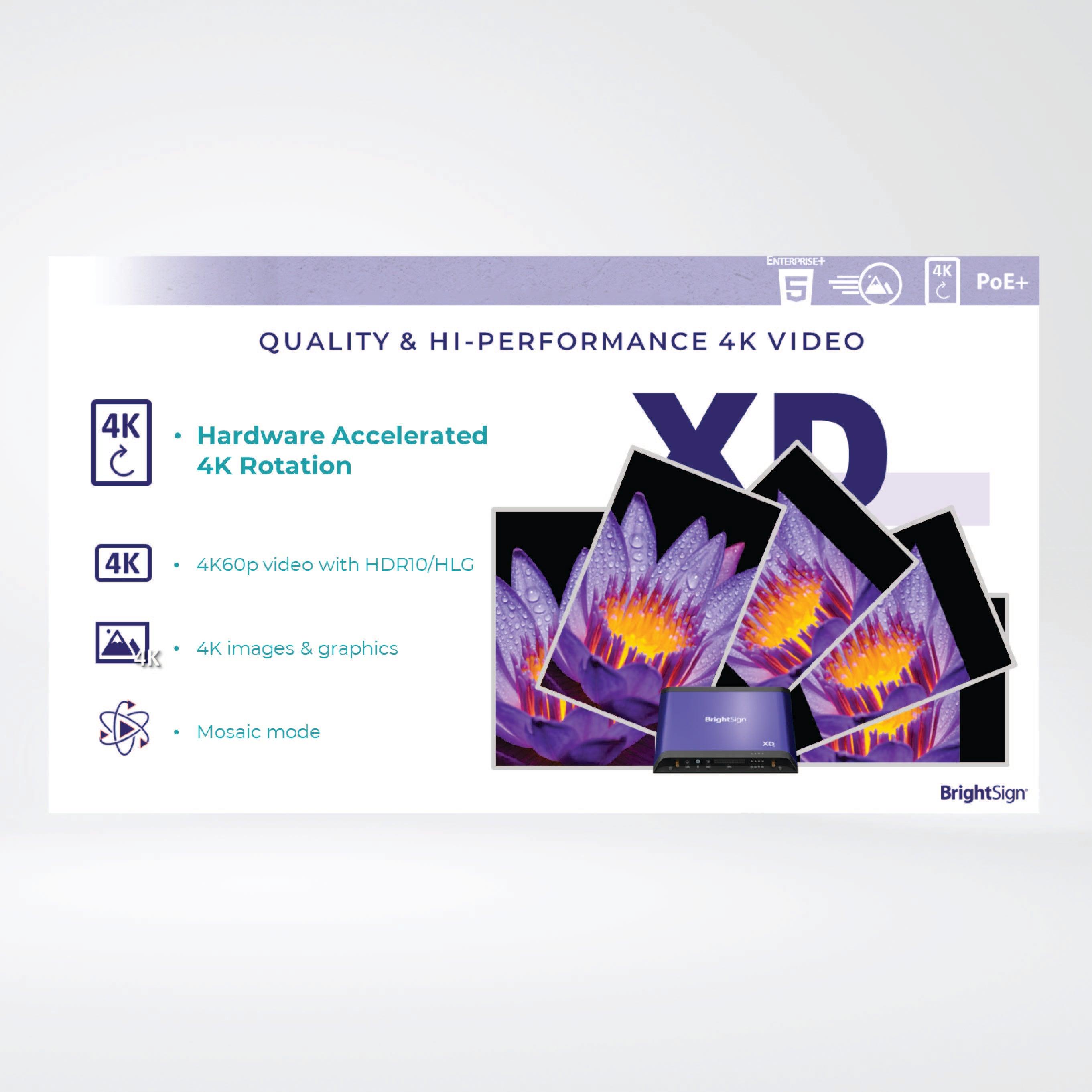 XD1035 Professional 4K Player for Enterprise+Experiences, Expanded I/O + 64GB Micro SD - Riverplus