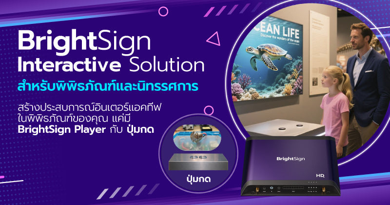 BrightSign Interactive Solution สำหรับพิพิธภัณฑ์และนิทรรศการ