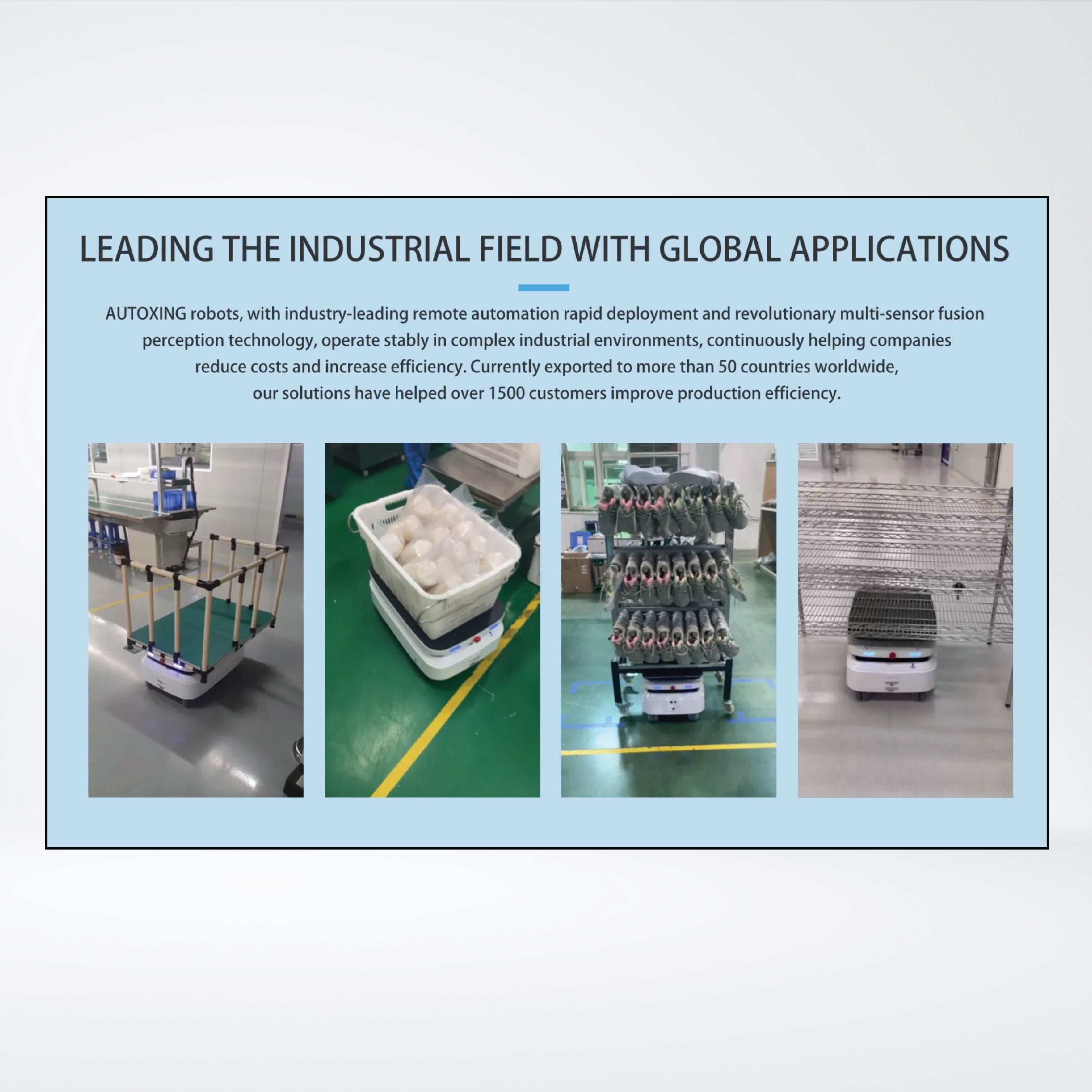 S-300 Sub-type Lifting Robots