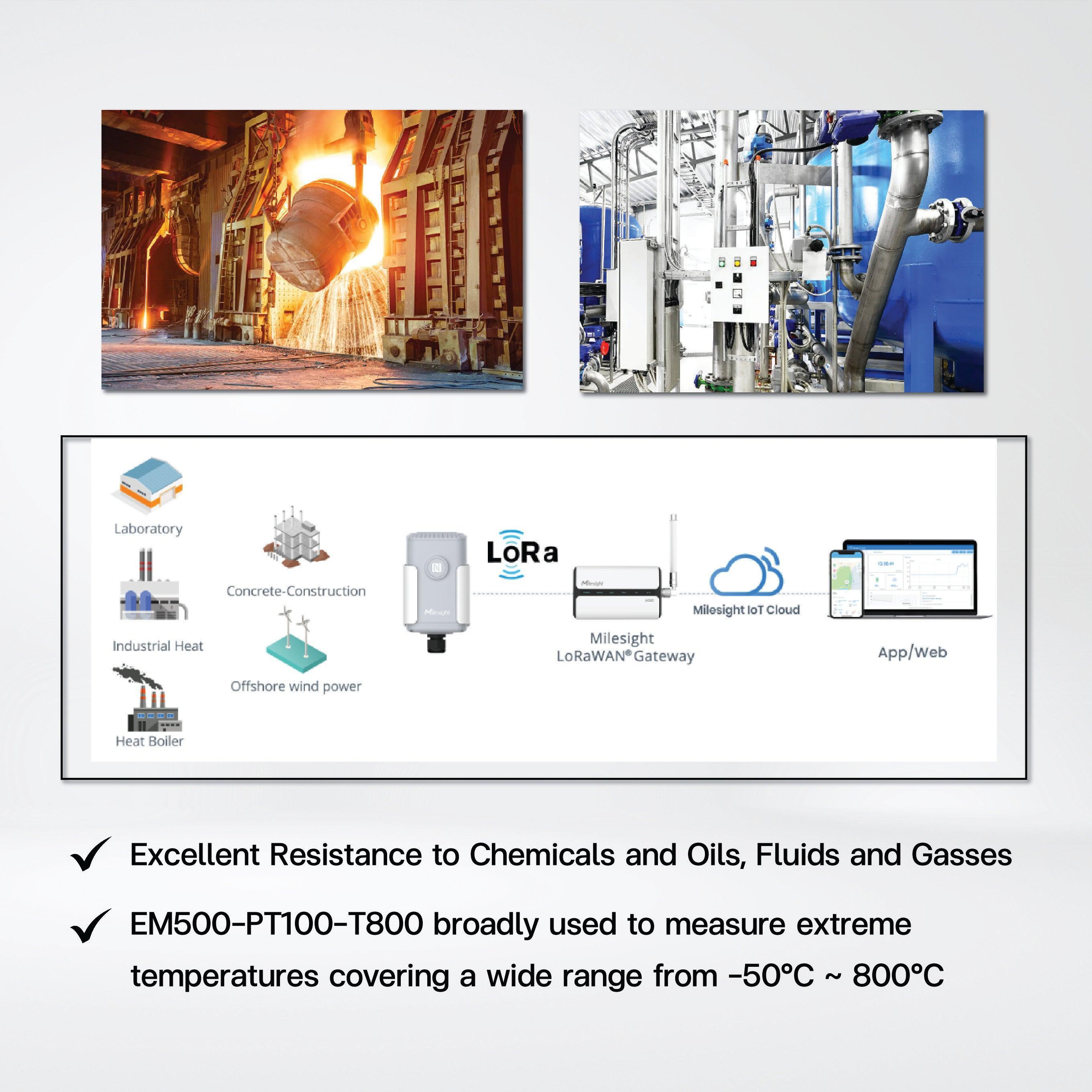 EM500-PT100-T800 Industrial Temperature Sensor/ -50°C ~ 800°C - Riverplus